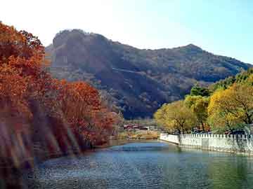 新澳天天开奖资料大全旅游团，一天网分销